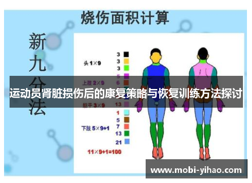 运动员肾脏损伤后的康复策略与恢复训练方法探讨